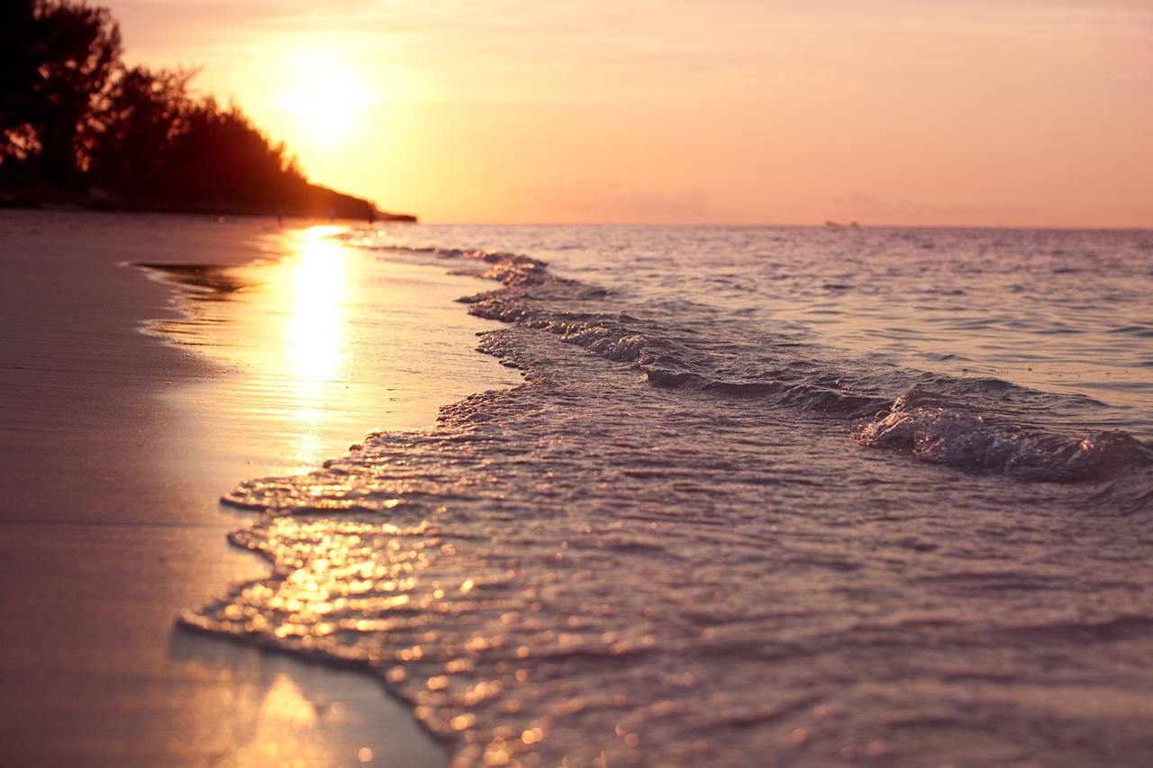 Hollywood Beach Suites Turks And Caicos Whitby Екстер'єр фото