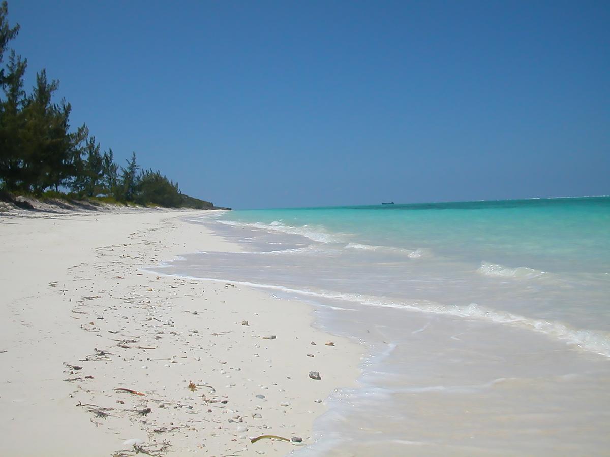 Hollywood Beach Suites Turks And Caicos Whitby Зручності фото